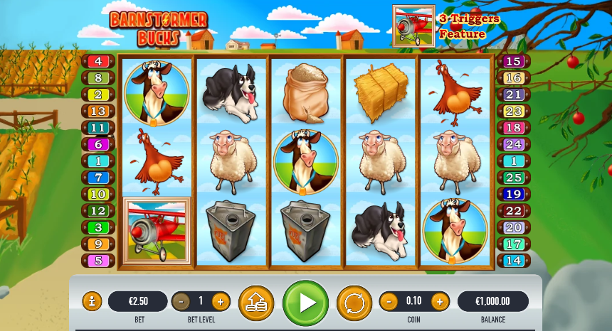 Barnstormer Bucks