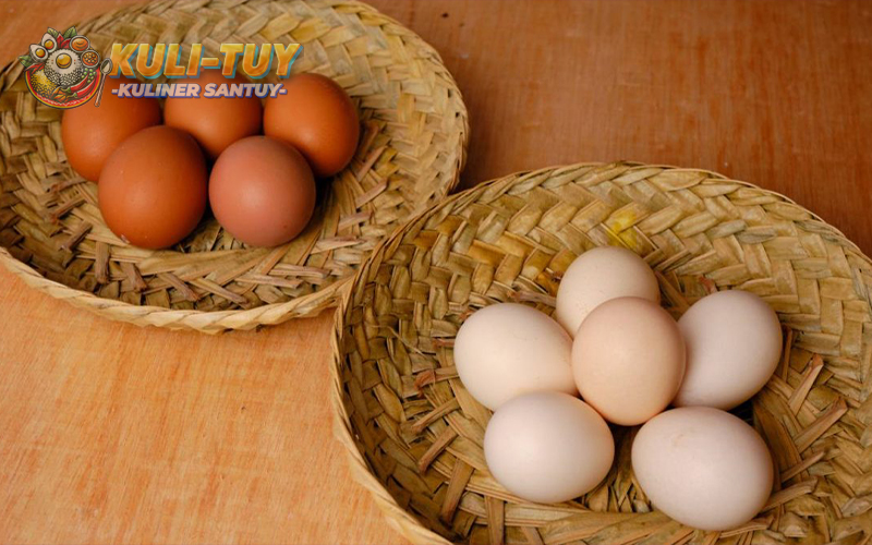 Perbedaan Khasiat Telur