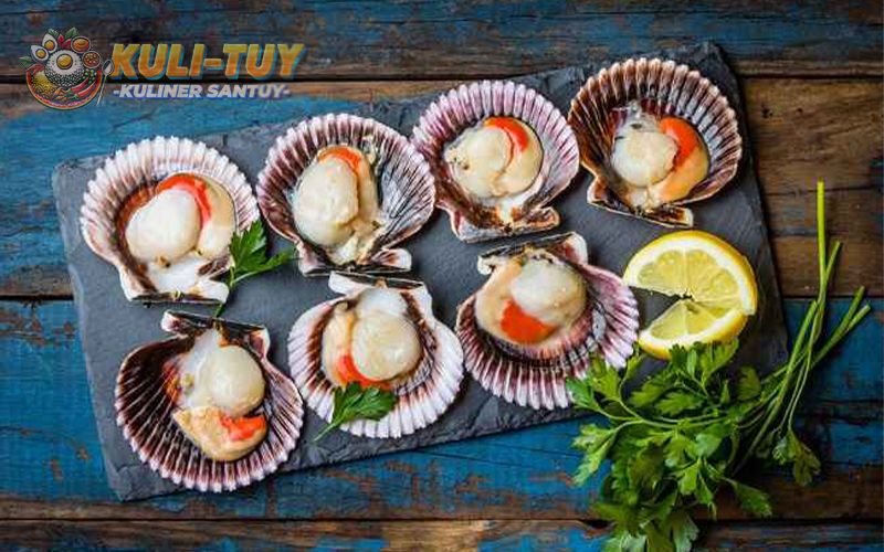 Scallop
