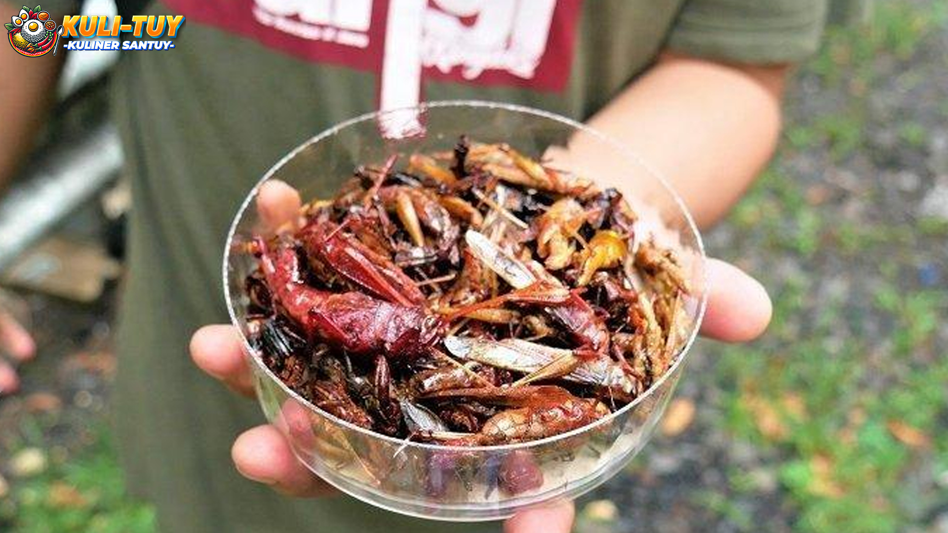 Belalang Goreng: Dari Tradisi Kuliner hingga Sumber Gizi Alternatif
