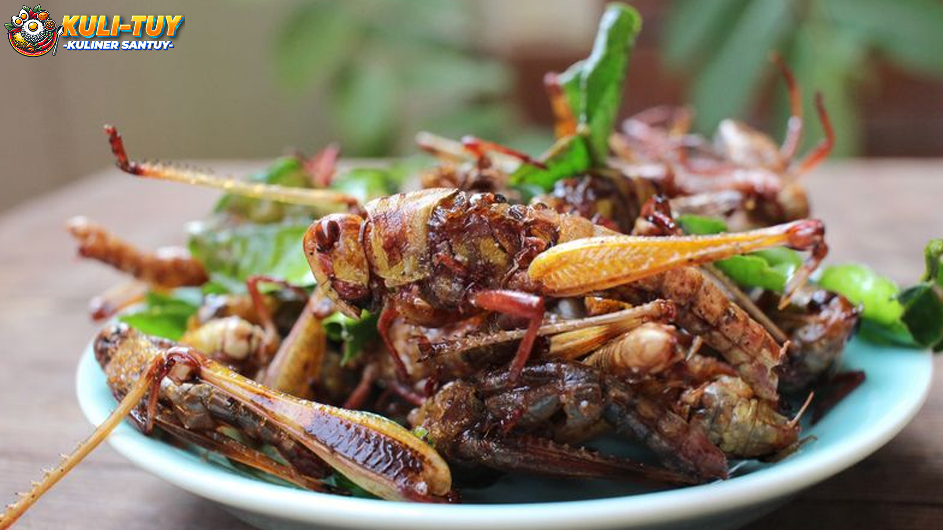Belalang Goreng: Dari Tradisi Kuliner hingga Sumber Gizi Alternatif