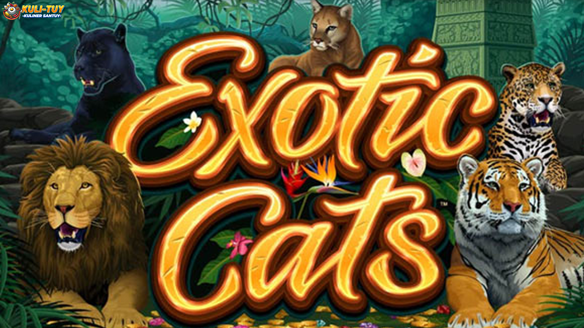 Slot Exotic Cats Serta 5 Sensasi Eksklusif yang Sulit Dilupakan