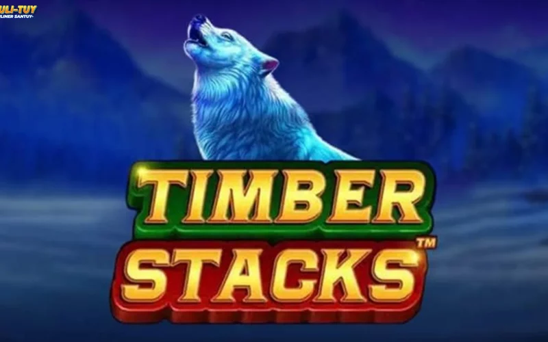 1 2025 10 28T045449.309