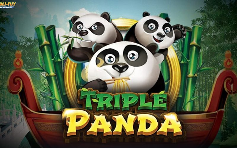 Penelaahan Lengkap Link Rtp8000 di Slot Triple Panda
