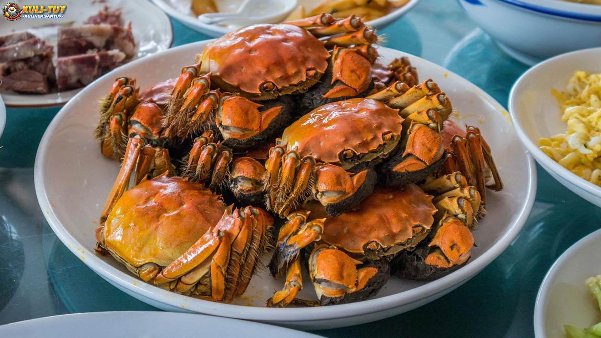 Fakta Menarik Kepiting Olok Lengkap dengan 4 Hal Uniknya