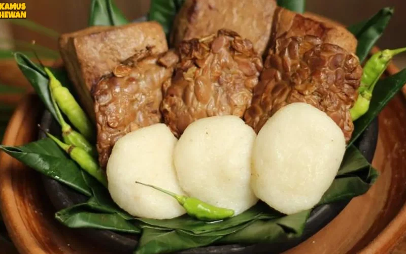 Jadah Tempe: 5 Cita Rasa Tradisional yang Masih Populer