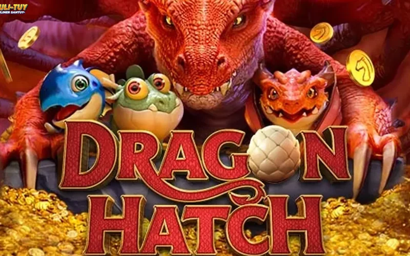 Dragon Hatch: Kiat Ngatur 5 Inventory Biar Teu Cepet Wareg