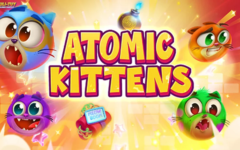 Ternyata Atomic Kittens 2026 Bisa Meledak Kalo Udah Puber